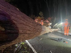 More wild weather lashes the Yarra Ranges