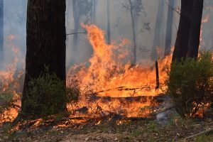 New-look fire safety sessions