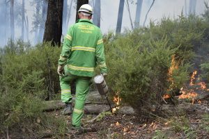 Planned burns for outer east