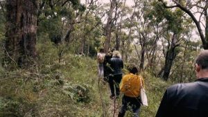 Set off on a sensory walk