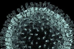 Virus detected in local wastewater
