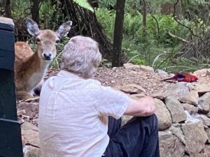 A very deer friend