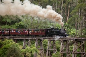 Tourism turns to locals