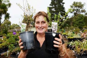 ‘Op shop of plants’