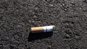 Tosser fined, no ifs or butts