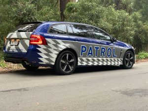 Residents handle hoons