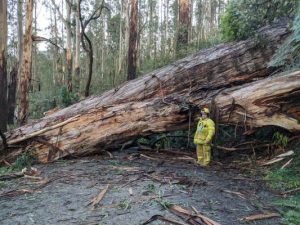 Kalorama’s dark days