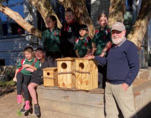 Men build homes for displaced possums