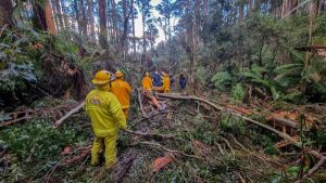 Woman rescued from ‘closed’ forest