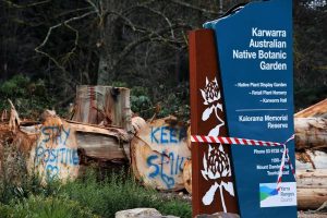 Council battles for post-storm help