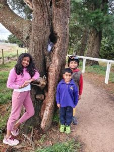 Poem tree sprouts lockdown joy