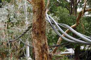 Outages reignite calls for underground power