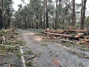 Roads reopen one month after storms