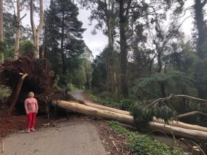 Kalorama family trapped in home, again