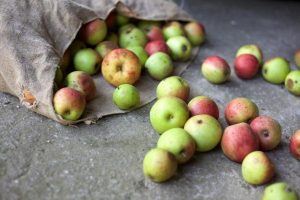 Food scraps saved from landfill in Knox