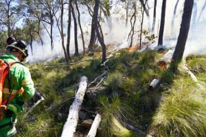 Getting prepared for bushfire season