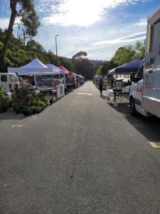 Gully Market returns for 2022