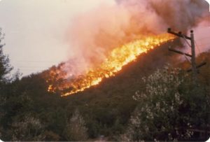 Letter to the Editor: Ash Wednesday fire