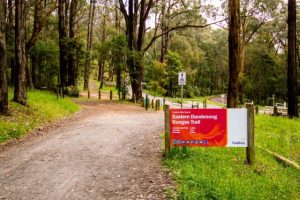 $300,000 commitment for Dandenong Trail connection
