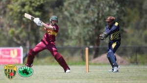 Ferntree Gully and District Cricket scores