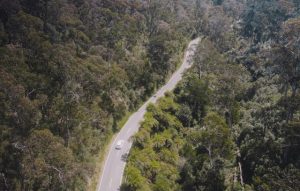 Yarra Ranges Tourism excited for the travel voucher scheme’s return