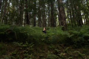 Edward Willoughby’s debut album Moving Mountains