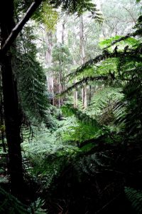Key bridges in national parks still damaged