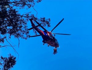 Melbourne Water worker rescued by air after snake bite