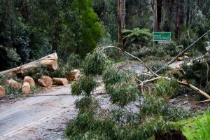 Yarra Ranges Council releases community grants for storm anniversary