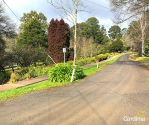 Could Cardinia Council join calls for peri-regional classification?