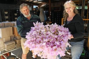 Local gardeners showcase their bulbs