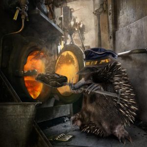 Animal Tales exhibition coming to Lakeside