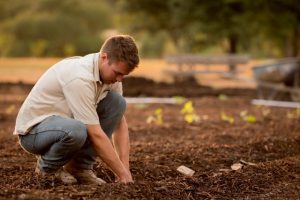 Council urges federal candidates to support agriculture sector