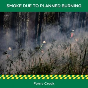 Planned burn in Ferny Creek