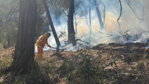 Planned burns conducted in Belgrave South