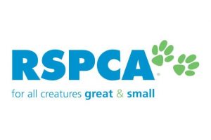 RSPCA at ‘Catpacity,’ lowering adoption costs
