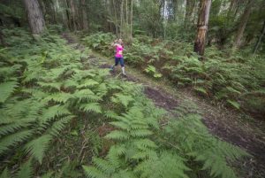 Entries for Silvan Trail run open