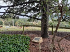 Picnic in the park at unveiling of restored historic cairn