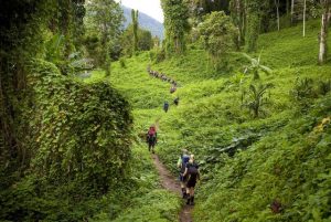 Applications for Bould-Young (Cardinia) Kokoda Award open
