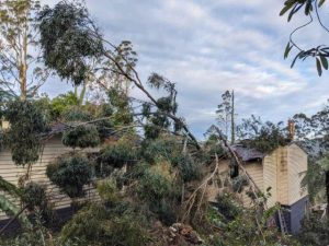 Yarra Ranges storm lessons learned community sessions
