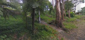 Local resident calls for action after Upwey accident