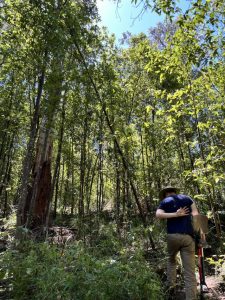 Kalorama Park needs your help