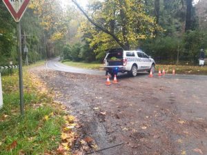 Search begins for missing woman in Sherbrooke Forest