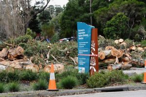 Kalorama and Mt Dandenong Residents invited to CFA catch up