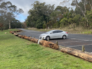 Concerns over carpark log placement at Emerald’s Lake Aura Vale