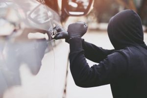 Motor vehicle theft in Monbulk