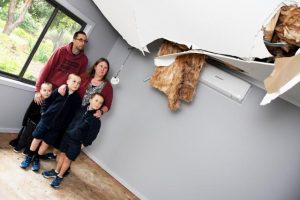 Impacts of last year’s October storms are still being felt in the Dandenong Ranges