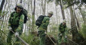 Calling for firefighters ahead of future bushfires