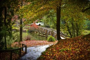 Cardinia Shire climate action plan adopted