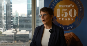 RSPCA calls for political parties to commit to animal welfare issues